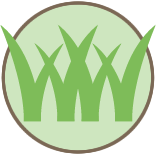 Grass Cutting and Lawn Care Pros