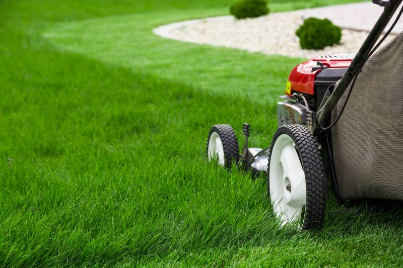 Grass Cutting And Lawn Care