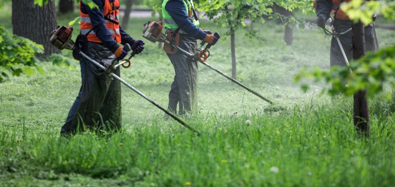 Grass Cutting And Lawn Care