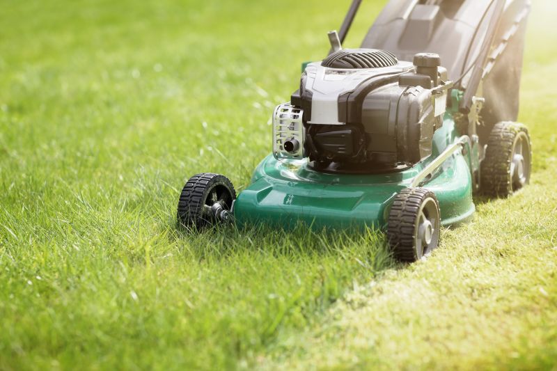 Grass Cutting And Lawn Care