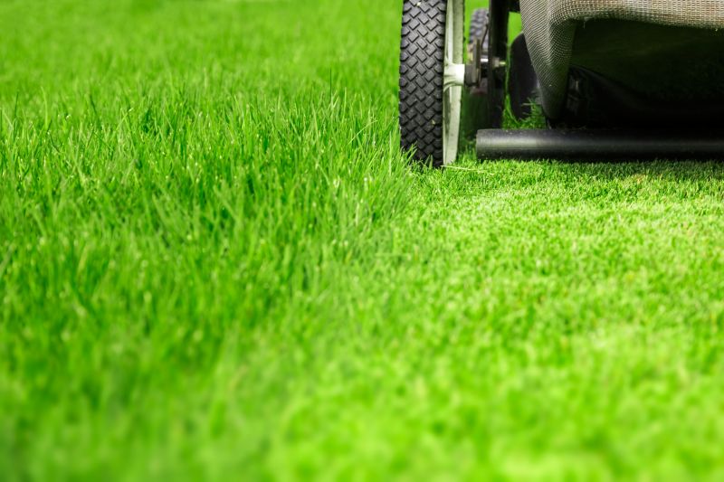 Grass Cutting And Lawn Care detail