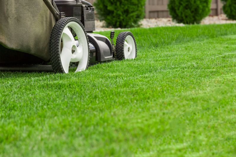 Grass Cutting And Lawn Care detail