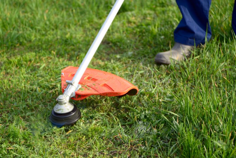 Grass Cutting And Lawn Care detail
