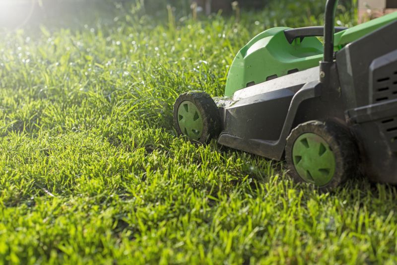 Grass Cutting And Lawn Care detail