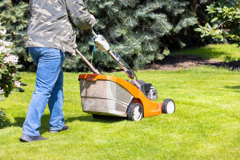 Grass Cutting And Lawn Care
